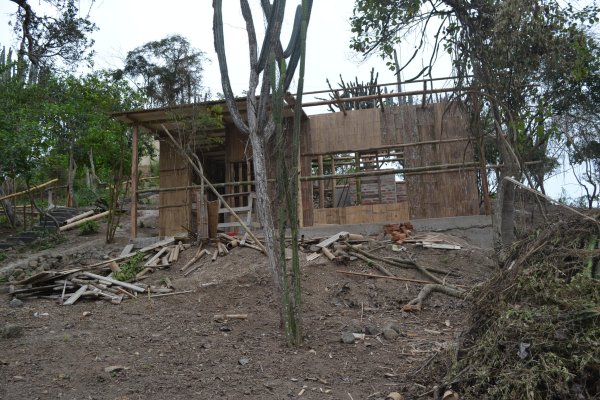 Cut bamboo walls going up